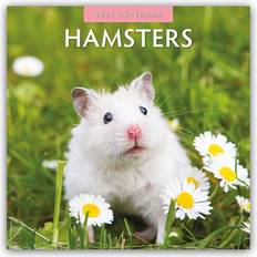 Røde Kalendere Hamsters 2025 Square Wall Calendar