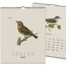 Väggkalender 2025 F�åglar