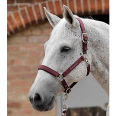 Imbracature per cavalli Cavezza per cavalli semplice Premier Equine Rouge