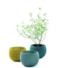 Keter Knit Cozies 3Pc Multi Colour Plastic Plant Pots - One Size