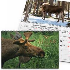 Väggkalender Älgar 2025