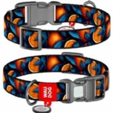 Collar Oranges Nylon Dog XL