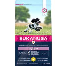 Eukanuba medium breed puppy dry dog food chicken - 2kg