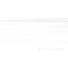 Foo Fighters: But here we are (Vinyl)