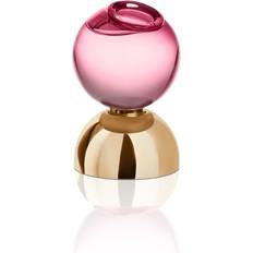 Parfymer Halloween My Wish Edp Spray 100 ml 100ml
