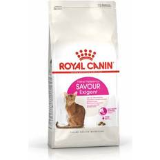 Royal Canin Adult Savour Exigent Dry Cat Food 4kg Bag