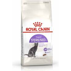 Royal Canin Adult Sterilised 37 Dry Cat Food 4kg Bag