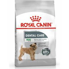 Royal Canin Small Breed Mini Adult Dental Care Dry Dog Food 3 kg Bag