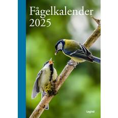 Kalendrar Legind Fågelkalender 2025 Inbunden