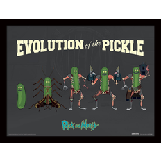 Rick and Morty Rick And Morty Evolution Of The Pickle 30 x 40 cm Framed Art