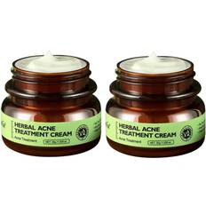 Cream Blemish Treatments Aihontai 2pcs Acne Cream Herbal Scar Removal Oily Skin Acne Care Spots