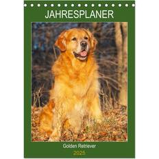 Bürobedarf Calvendo Jahresplaner Golden Retriever Tischkalender 2025 DIN A5 hoch