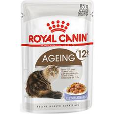 Royal Canin feline ageing 12+ wet senior cat food in jelly - 12 x 85g