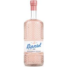 Kapriol Grapefruit & Hibiscus Gin