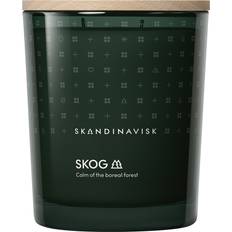 FSC (The Forest Stewardship Council) Scented Candles Skandinavisk Skog Green Scented Candle 12.3oz