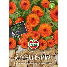 Stauden Sperli Ringelblume Neon