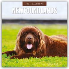 Newfoundlands Calendar 2025