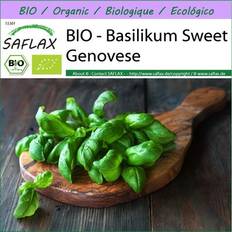 April Gemüsesamen Saflax Bio Basilikum Sweet Genovese Ocimum 800 Samen