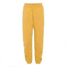 Unisex - Yellow Trousers & Shorts Colorful Standard Organic Burned - Yellow
