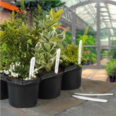 Plant Labels Ambassador Ambador Plastic Plant Labels Pack Of 100 White 4 In