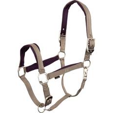 Channa neopren grime Driftwood Pony
