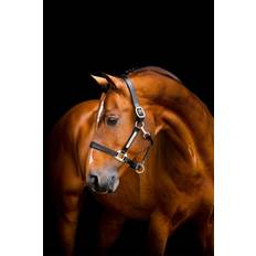 Grimer og leietau Horseware Signature Leather Headcollar