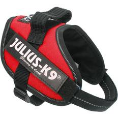 Julius-K9 Julius-K9 16IDC-R-MM IDC Powerharness XS/Mini-Mini Red