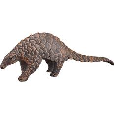Indian Pangolin 387174 