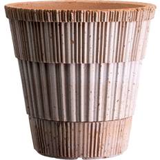 Bergs Potter Krukor, Plantor & Odling Bergs Potter Atlas Raw Kruka Rosa Ø 16 cm ∅16cm