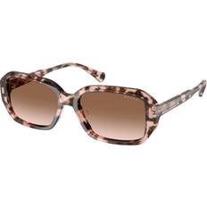 Solglasögon Polo Ralph Lauren RA5325U Solglasögon Acetat Rosa Brun Fyrkantig -