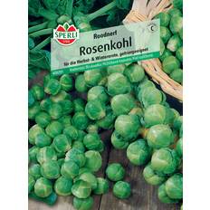 Juni Gemüsesamen Sperli Rosenkohl Roodnerf - 0693109326