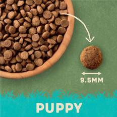 Harringtons Complete Puppy Dry Dog Food Turkey & Rice 10 kg