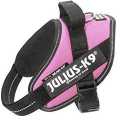 Julius-K9 IDC-Powerharness Size Mini Pink
