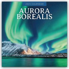 Aurora Borealis Nordlichter Polarlicht 2025