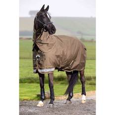 LeMieux Horse Rugs LeMieux LeMieux Horsehealth LeMieux Arika Ripstop Turnout Rug Alpine Si