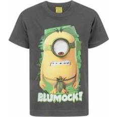 MINIONS Short Sleeved T-Shirt Grey 12-13 Years