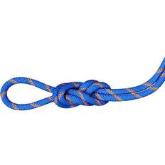 Blå Klatretau & Slynger Mammut 9.0 Alpine Sender Dry Rope Blau