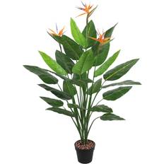 Grön växt Bird Of Paradise H150 cm Svart Kruka