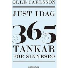 Just idag : 365 tankar för sinnesro (Inbunden, 2014)