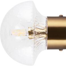 Transparent Väggarmaturer Globen Lighting Fungo 16 Vägglampa Borstad Mässing 16 x 16 x 16 cm Väggarmatur