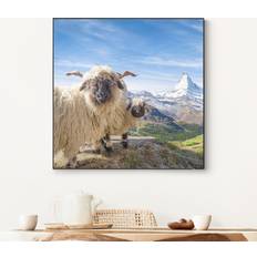 Decoraciones de Pared Tableau Interchangeable Moutons À Nez Noir De Zermatt Arte enmarcado