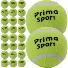 Direct2publik 24 X Tennis Balls Sport Play Cricket Dog Toy