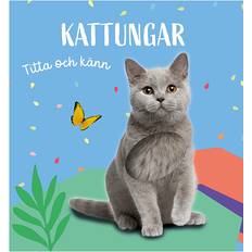 Svensk E-bøger Titta och känn. Kattungar board book (E-bok)