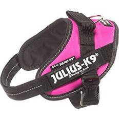 Julius-K9 16IDC-DPN-M IDC Powerharness Mini Dark Pink