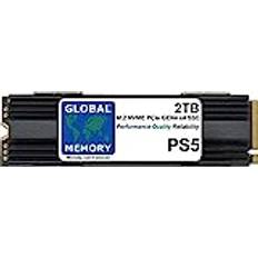 Global Memory 2 TB M.2 2280 PCIe Gen4 x4 NVMe Solid State-enhet SSD med DRAM kylfläns för Playstation 5 PS5