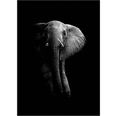 Daells Bolighus Elephant Black/Grey Plakat 30x40cm
