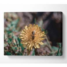 Brambly Cottage Golden Dandelion Bloom - Multicolour (35.6 cm H x 50.8 cm W) Framed Art