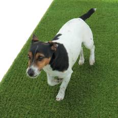 Dakota Fields Broderik 40 mm Pet-Friendly Artificial Grass For Lawn-5 m x 4 m (13'1")