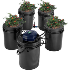 Propagators Bed Bath & Beyond RDWC Hydroponics Grow System 4 Buckles and 1 Reservoir Black