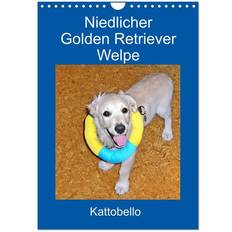 Gold Kalender Calvendo Niedlicher Golden Retriever Welpe Wandkalender 2025 DIN A4 Hoch